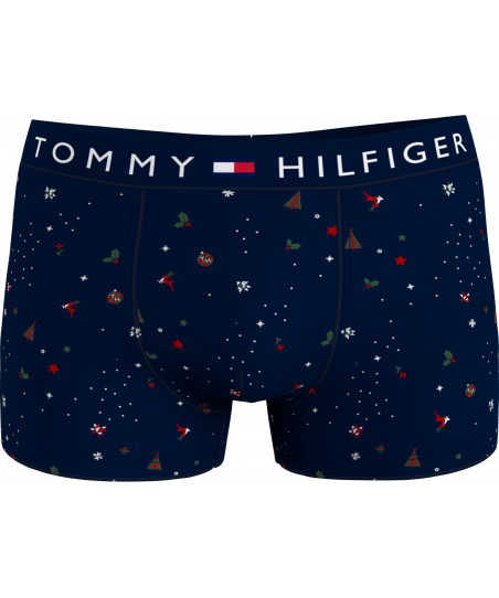 Ανδρικό εσώρουχο Tommy Hilfiger UM0UM1831 0L2