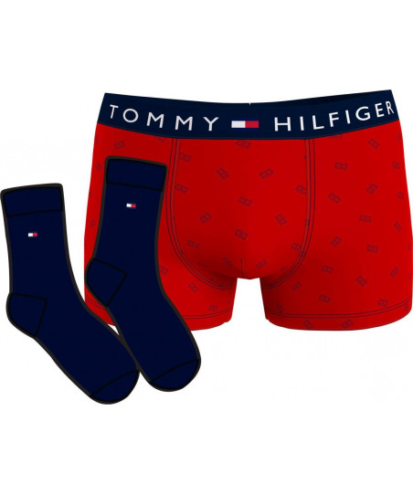 Ανδρικό εσώρουχο Tommy Hilfiger UM0UM01996 0S4