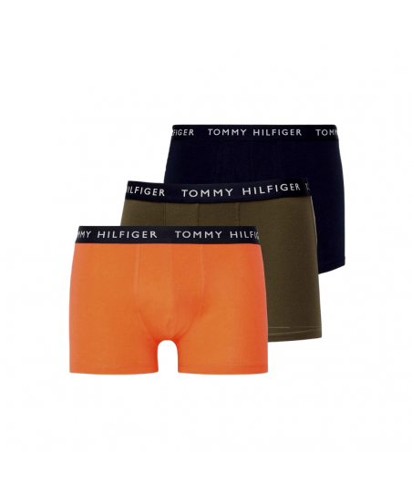 Ανδρικό Boxer Tommy Hilfiger UM0UM02203 0UG