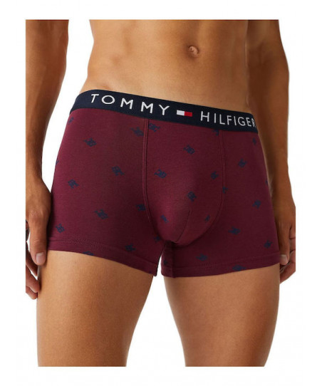 Ανδρικό Boxer Tommy Hilfiger UM0UM01831 0JW