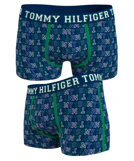 Ανδρικό Boxer Tommy Hilfiger UM0UM02339 0GH