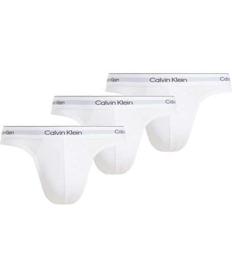 Ανδρικά Εσώρουχα Slip 2pk Calvin Klein NB3961A 100