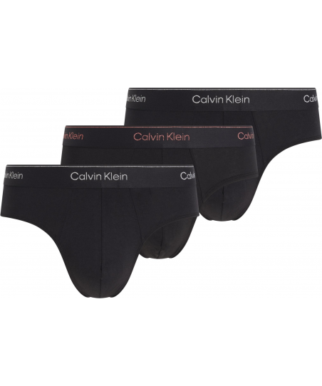 Ανδρικά Εσώρουχα Slip 3pk Calvin Klein NB4075A Q6A