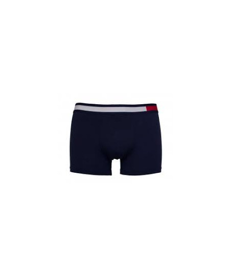 Ανδρικό εσώρουχο Tommy Hilfiger UM0UM01380 416